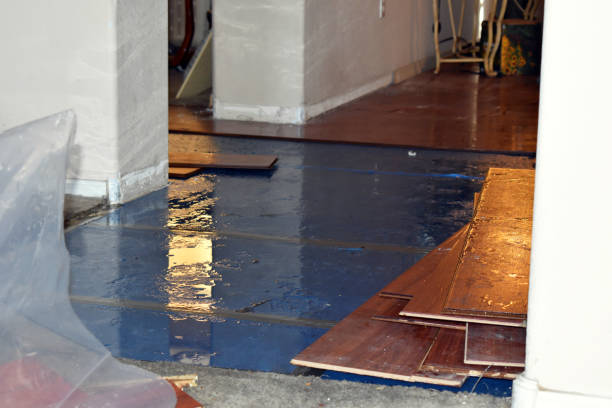 Professional Flood Damage Repair technician working in Rego Park, NY
